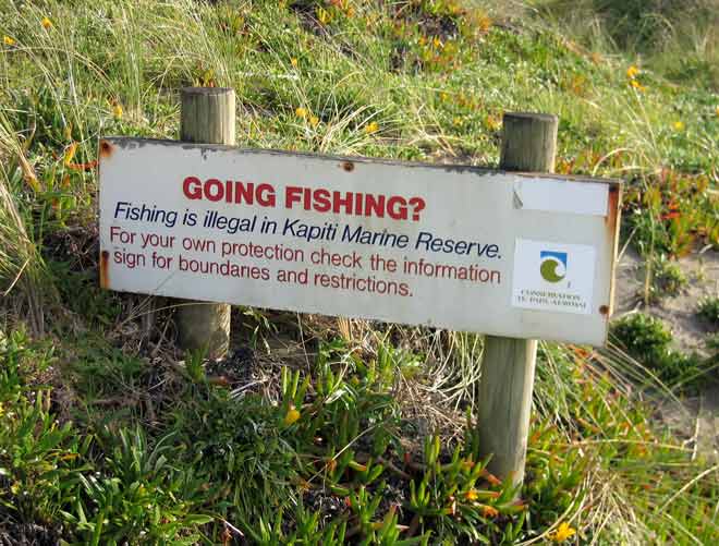 Gone fishing