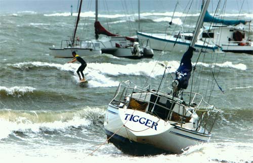Surfing in a storm, Hauraki Gulf