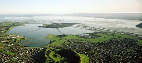 Low tide at Manukau Harbour