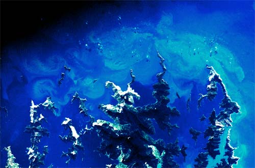 Marlborough Sounds