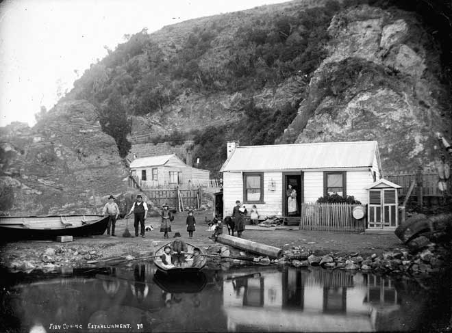Fishing-curing establishment
