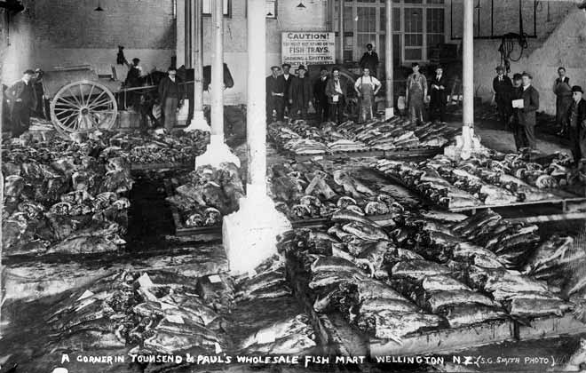 Fish market, Wellington