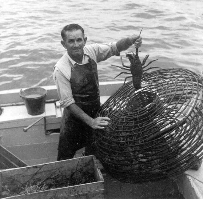 Crayfish pot