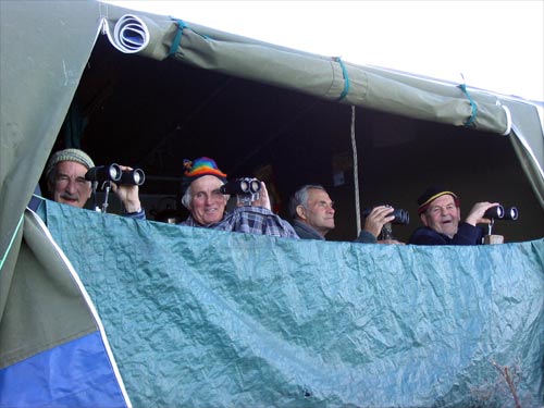 Ex-whalers watch whales