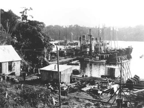 Norwegian whaling station, Stewart Island
