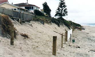 Restoring sand dunes 