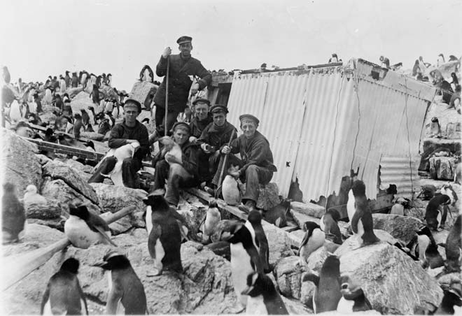Marine cadets, Bounty Islands