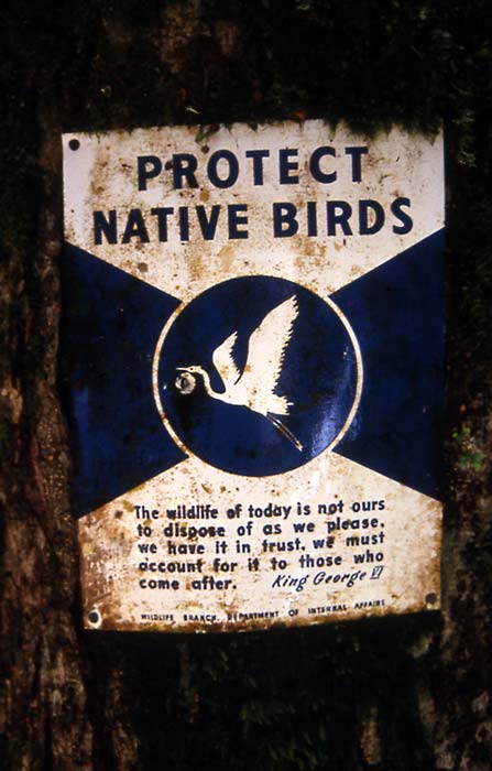 White herons as emblems 