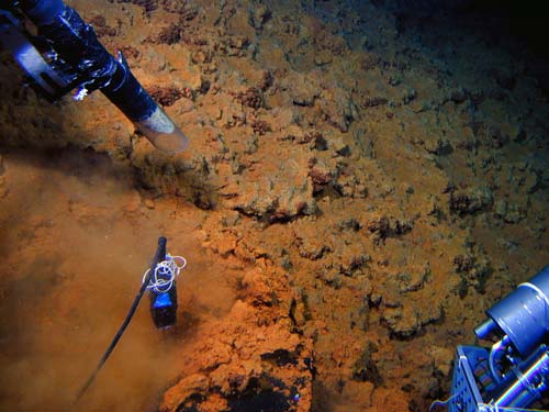 Microbial mat from an undersea volcano