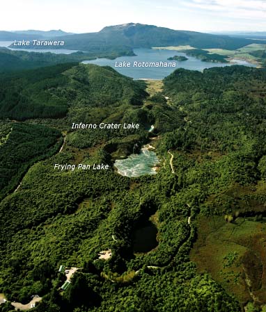Waimangu geothermal field