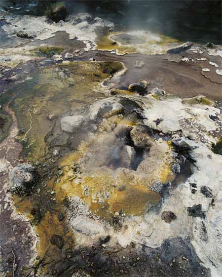 Springs of Mother Earth 