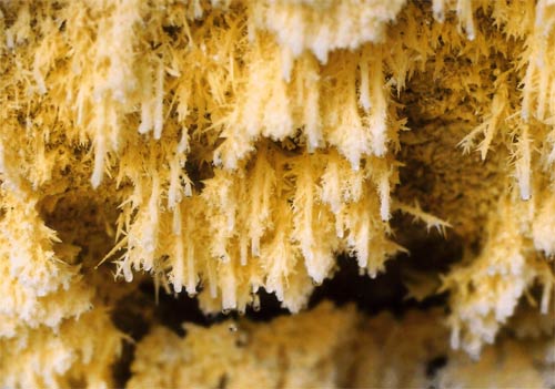 Sulfur crystals