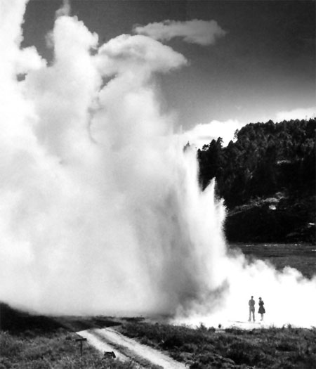 Ōrākei Kōrako geyser 