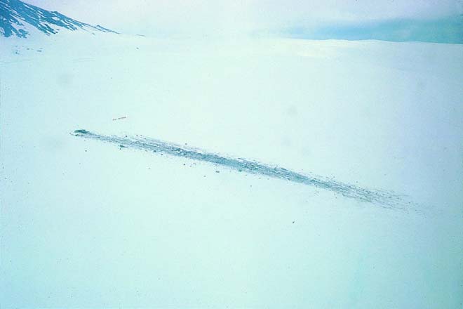 The crash site 