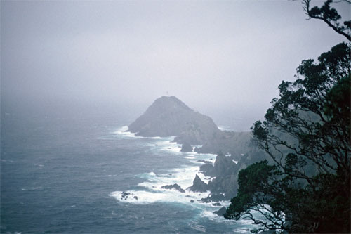 Cuvier Island