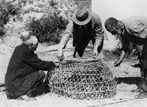 Measuring a crayfish pot