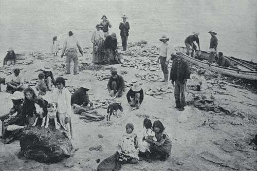 Fishing party