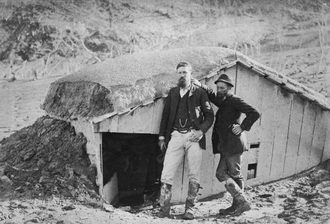 The Haszards’ hen house 