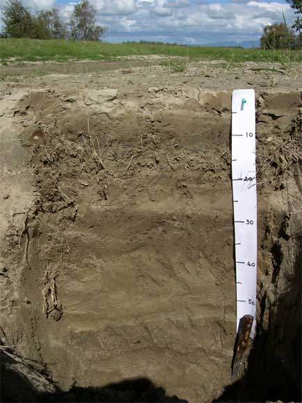 A hole dug into farmland, with a 50cm ruler and layers of silt.