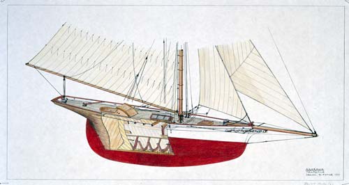 <em>Akarana</em>’s construction