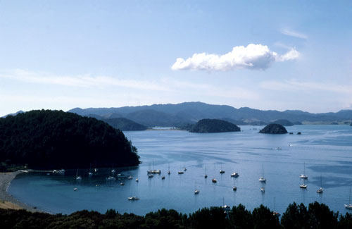 Yachts in the Bay of Islands