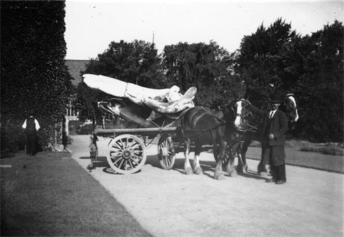 Whales bones on cart 