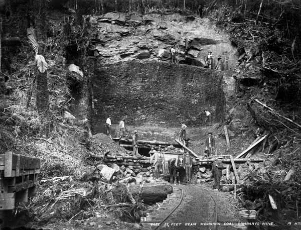 Huge coal seam, Mōkihinui