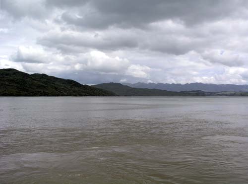 Hokianga, 2003 