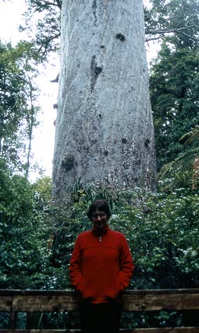 The father of the forest