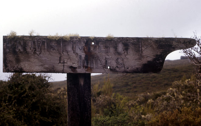 Finger post, Auckland Islands