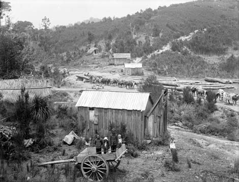Timber camp