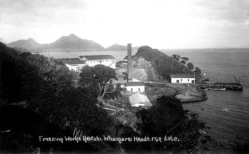 Reotahi freezing works