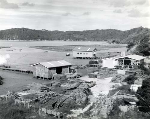 Oyster farm, 1978
