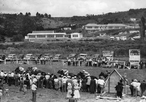 Horse races
