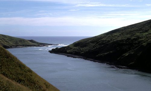 Whāngāpē Harbour
