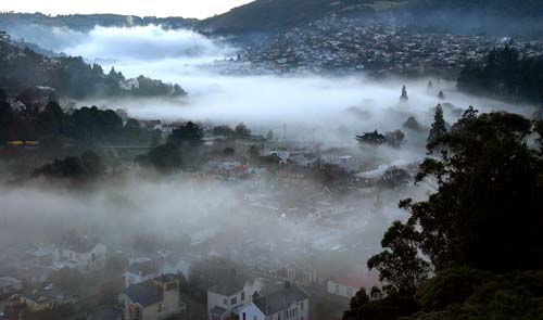 Fog, North East Valley, Dunedin