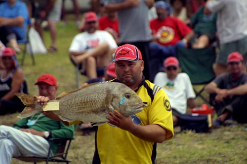 A $50,000 snapper
