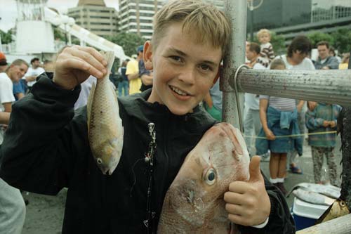 Spottie and snapper