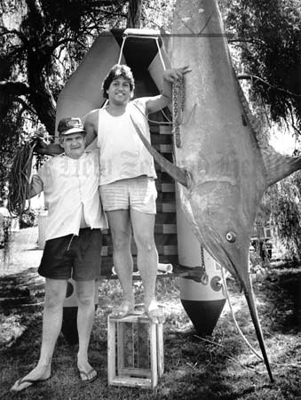 Black marlin