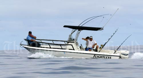 Fishing for marlin