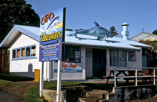 Fish shop, Opononi