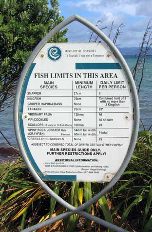 Fish and shellfish limits