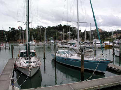 Tutukākā marina