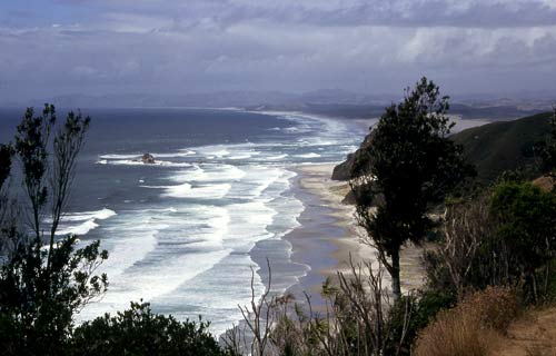 Mangawhai