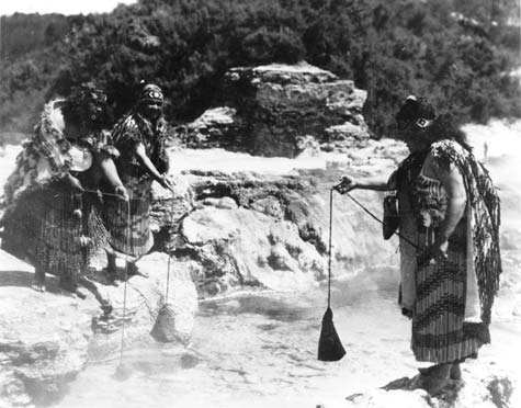 Ideas of Māori culture