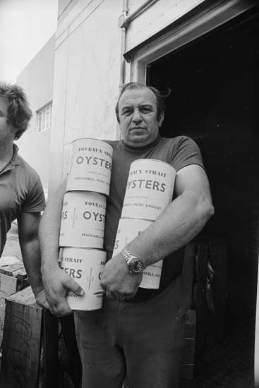 Canned oysters