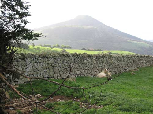 Stone wall, Dunedin