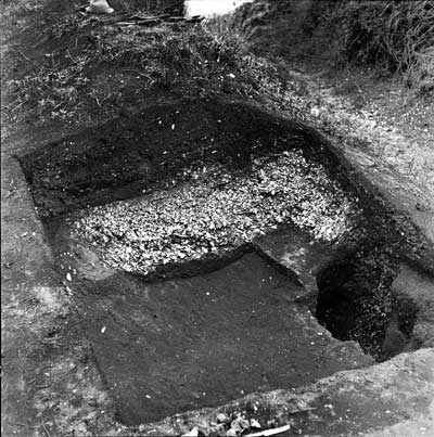 Shell midden