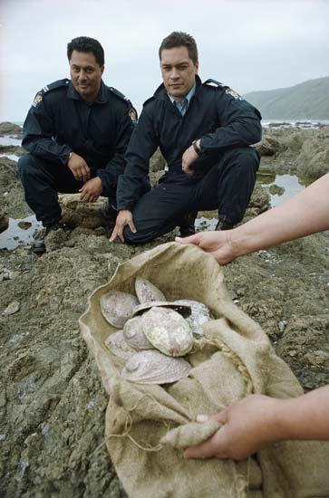 Customary fishing officers