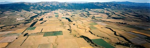 Dry landscape, Canterbury